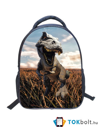 Bölcsis, ovis hátizsák cipzárral - 36 x 30 x 13 cm - DÍNÓS - T-REX